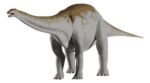 Imagen de Juego Paleontología Dinosaurios Realidad Aumentada Niños 6a+ - apatosaurus