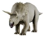 Imagen de Juego Paleontología Dinosaurios Realidad Aumentada Niños 6a+ - triceratops