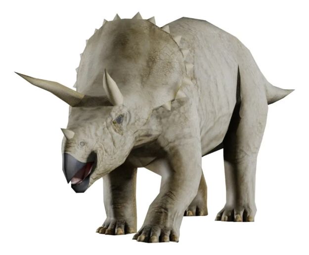 Imagen de Juego Paleontología Dinosaurios Realidad Aumentada Niños 6a+ - triceratops