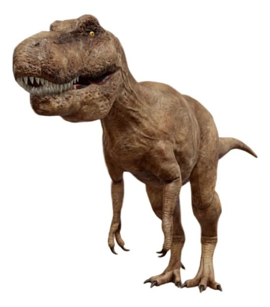 Imagen de Juego Paleontología Dinosaurios Realidad Aumentada Niños 6a+ - tyrannosaurus