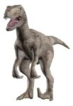 Imagen de Juego Paleontología Dinosaurios Realidad Aumentada Niños 6a+ - velociraptor