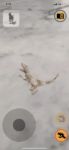 Imagen de Juego Paleontología Dinosaurios Realidad Aumentada Niños 6a+ - velociraptor