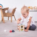 Imagen de Juego de encastre de figuras geométricas en madera Bigjigs