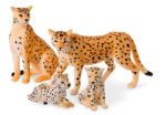 Imagen de Familia de Guepardos Terra