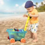 Imagen de Vagon Carretilla con accesorios para playa 11 pcs